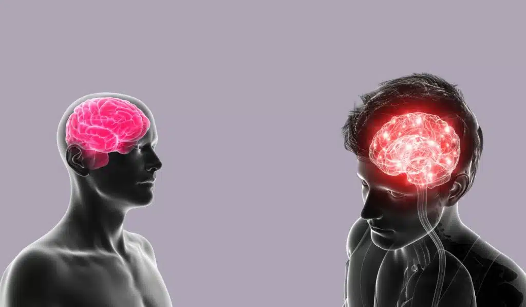 How Brain Machine Interfaces Work