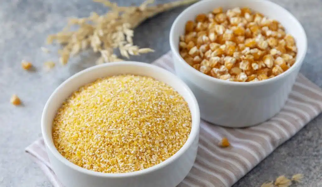  gluten free protein powders